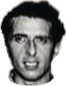 G Gerini