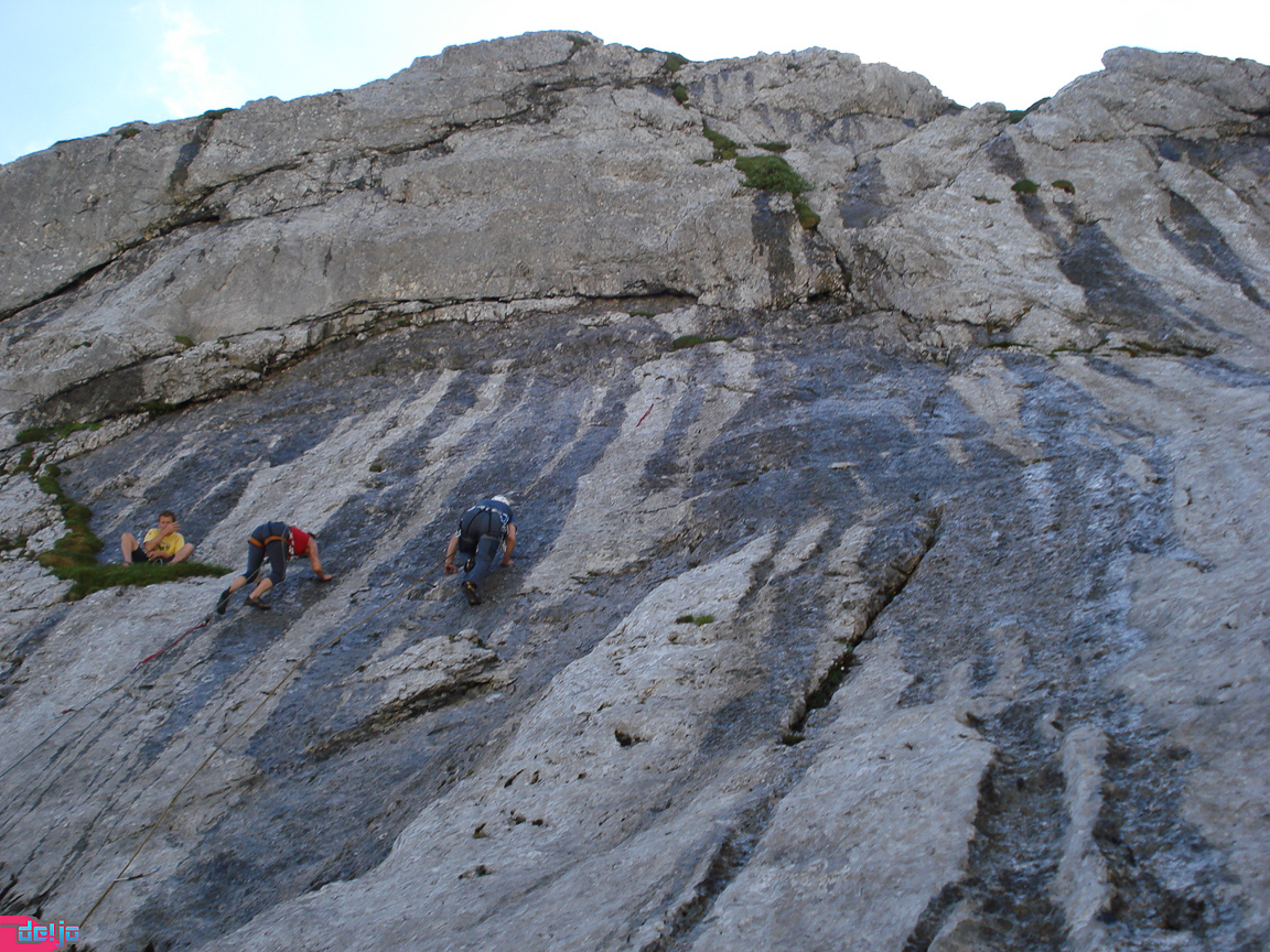 29. Juni 2008