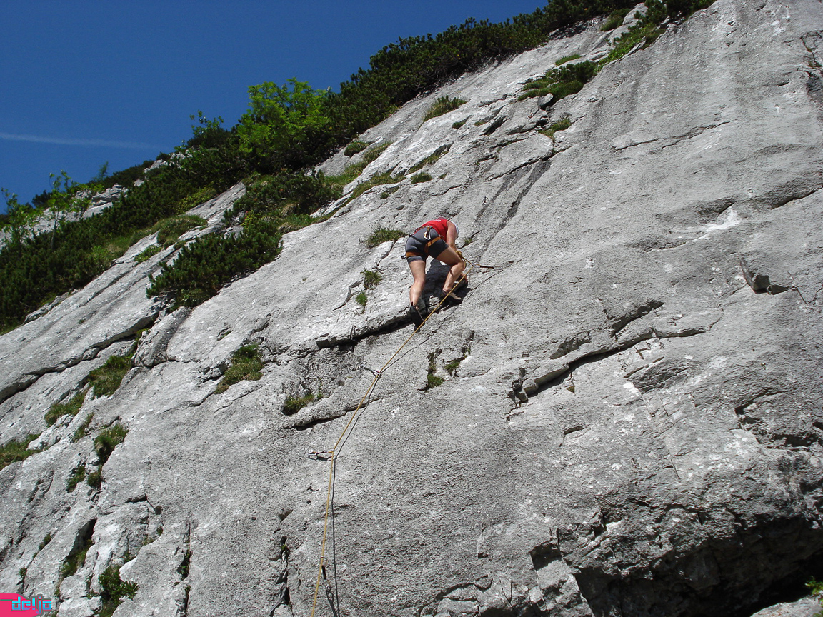 01. Juli 2008