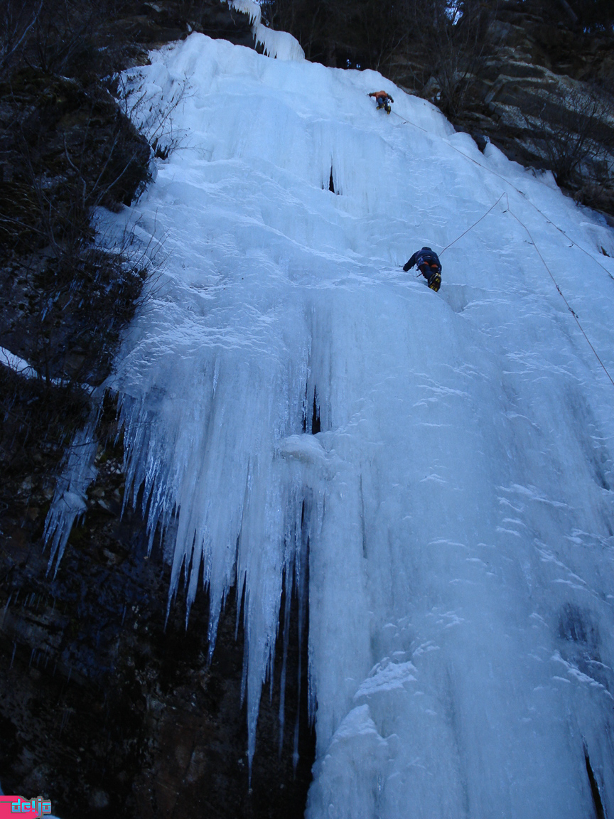 27. Februar 2010
