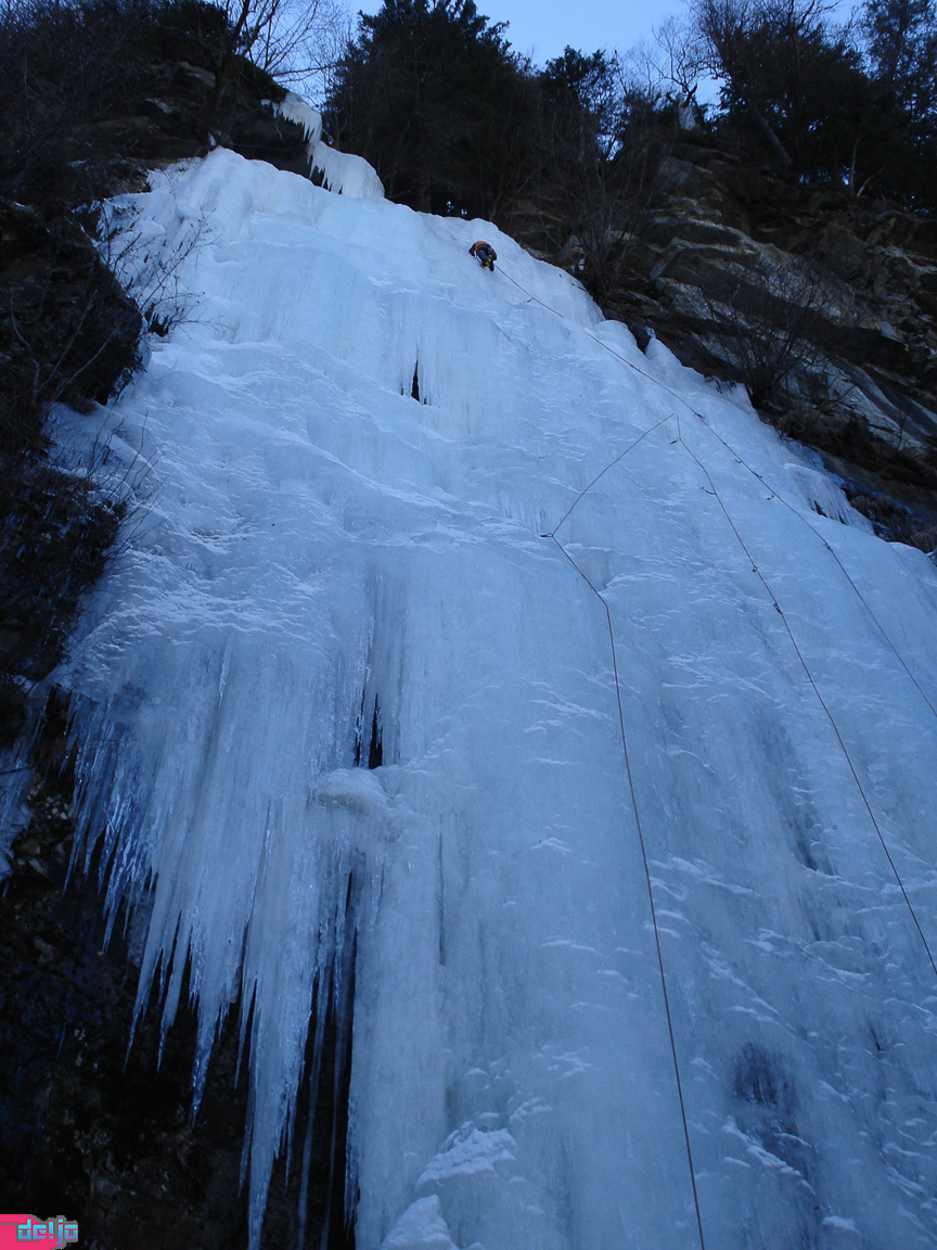 27. Februar 2010