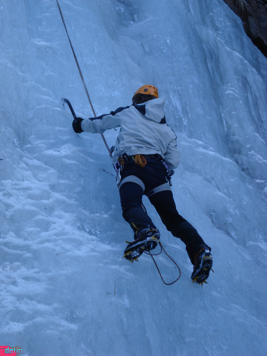 27. Februar 2010
