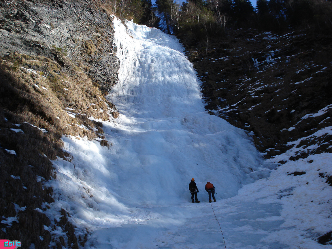 25. Februar 2010