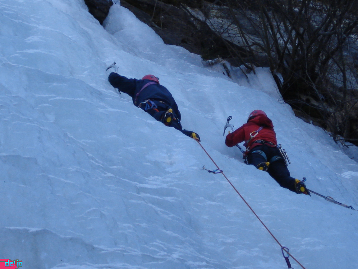 27. Februar 2010
