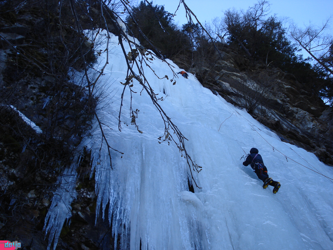 27. Februar 2010