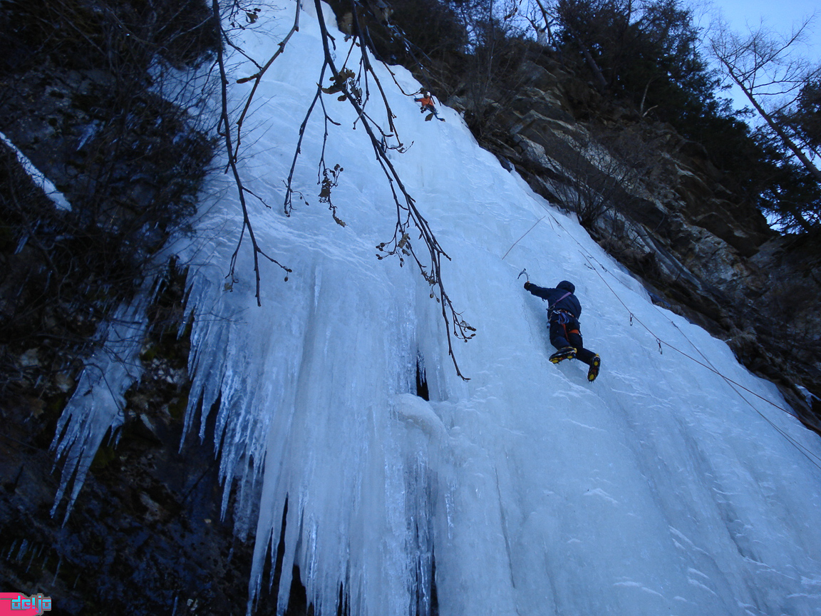 27. Februar 2010