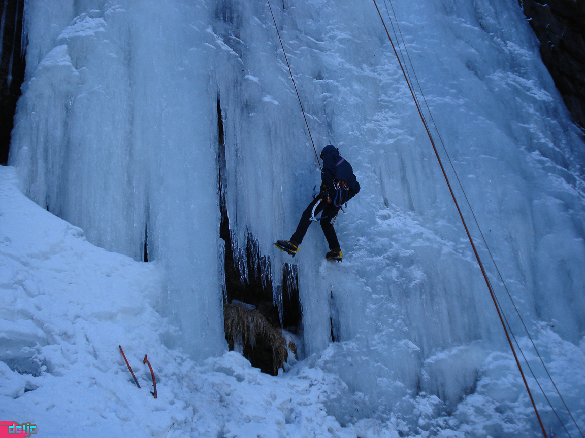 27. Februar 2010