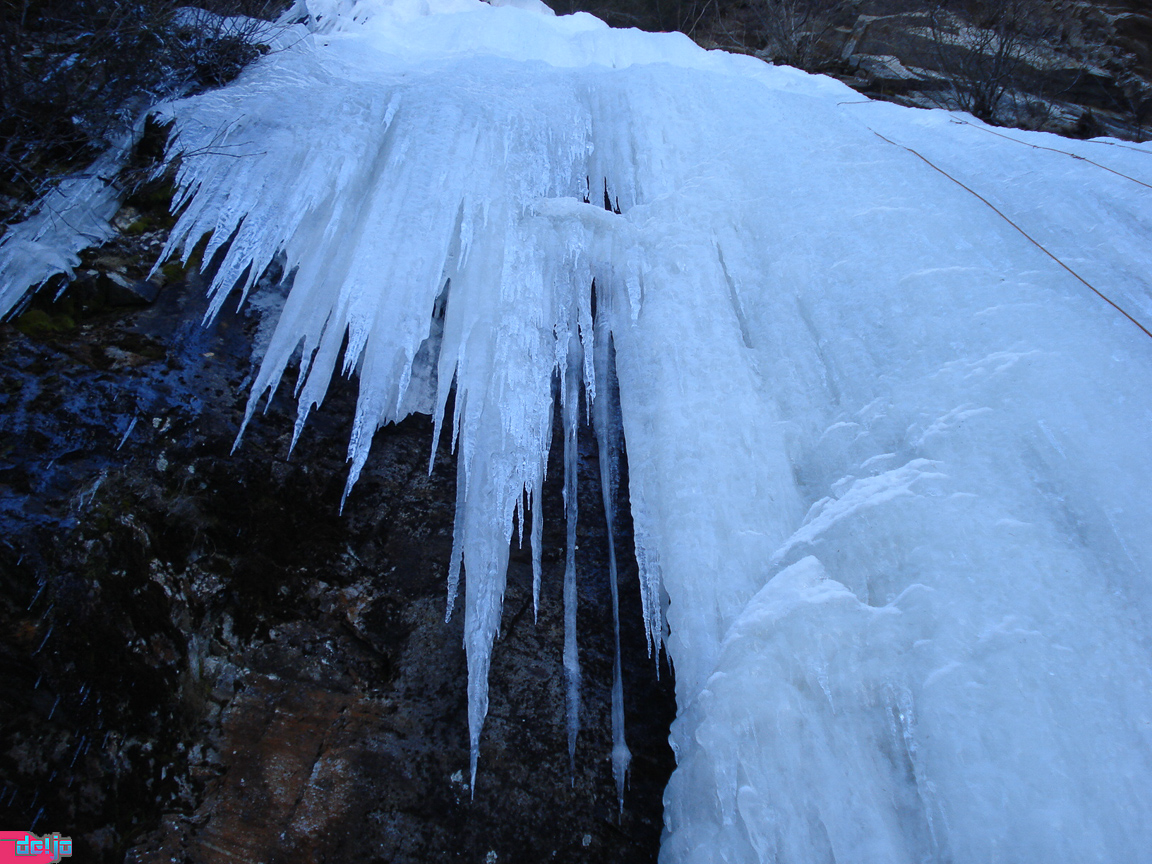 27. Februar 2010