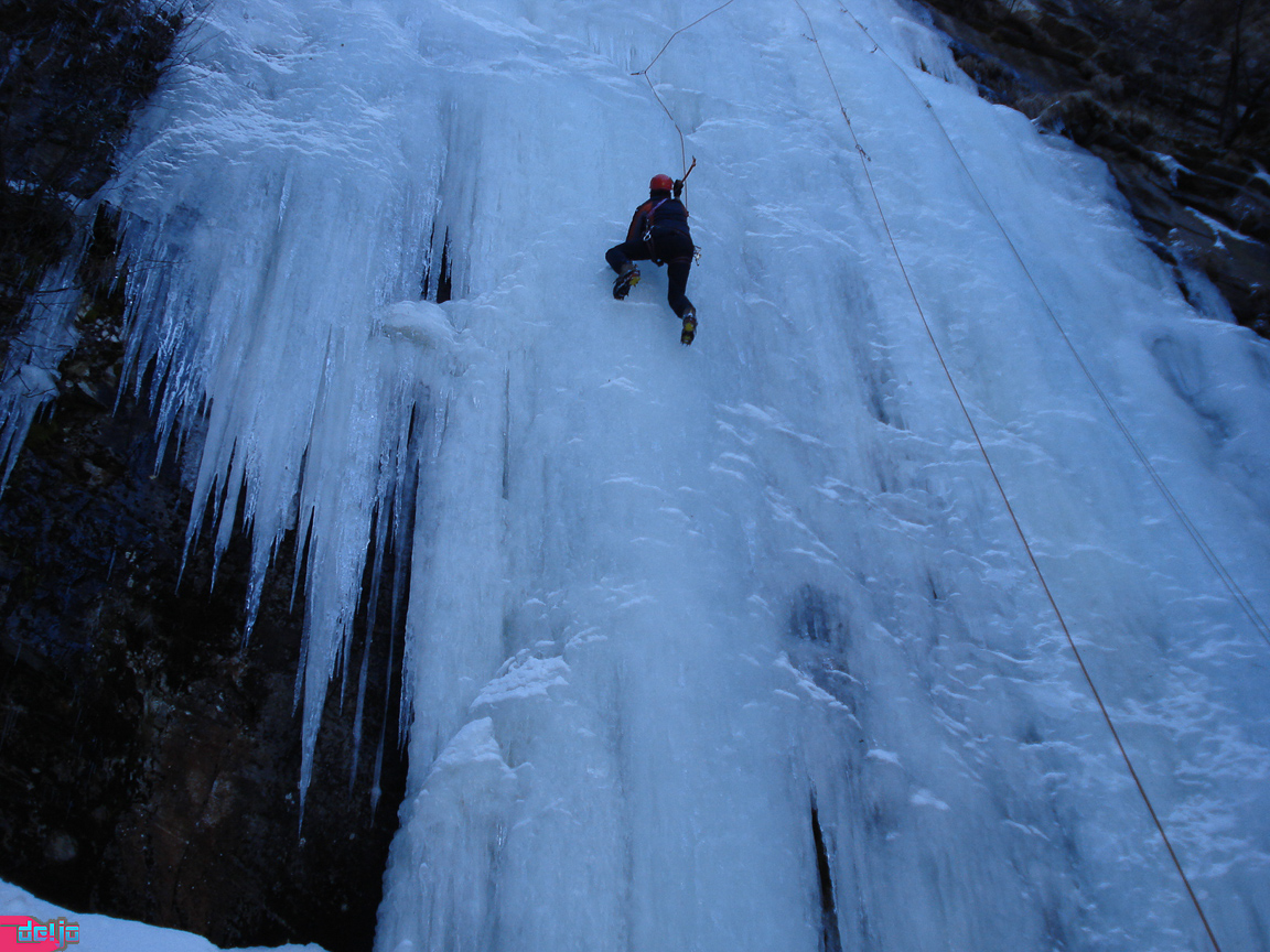 27. Februar 2010
