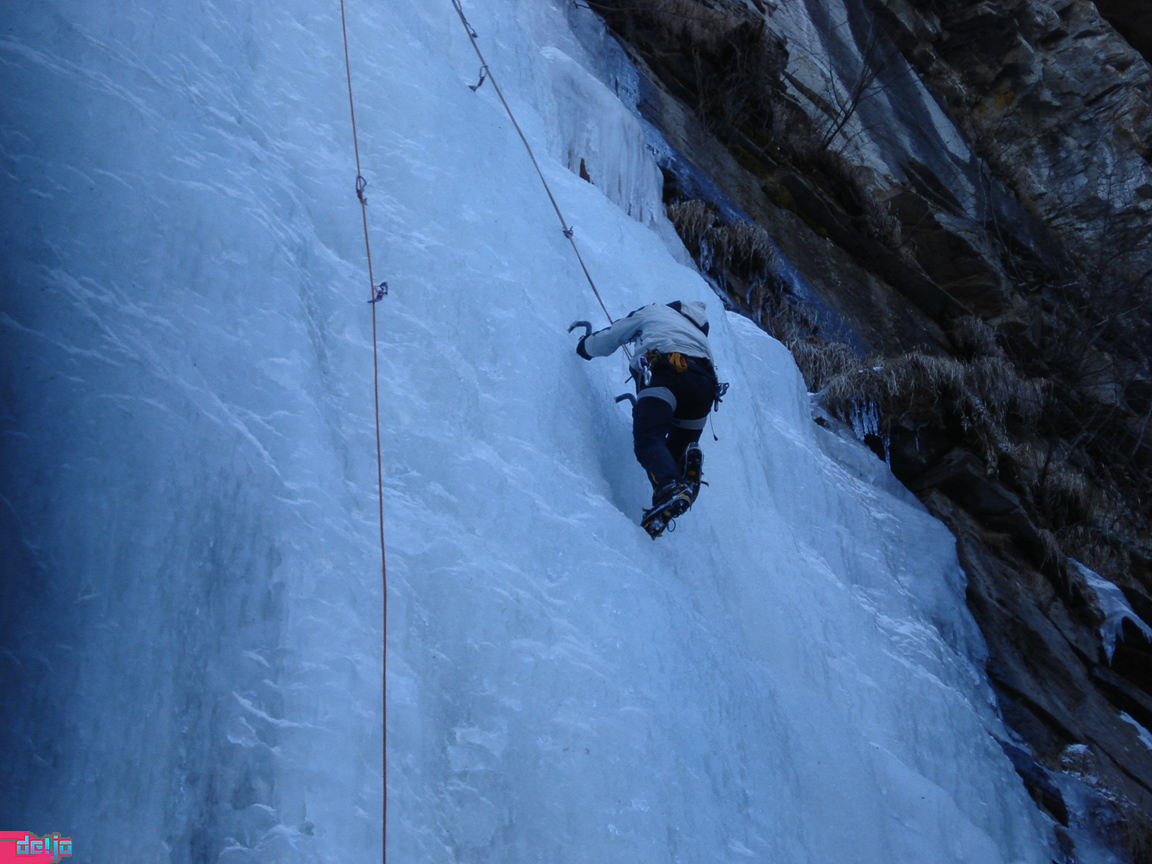 27. Februar 2010
