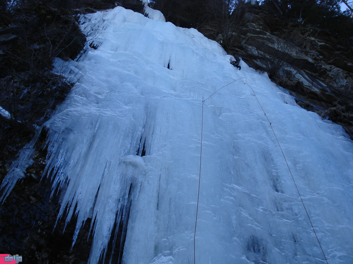 27. Februar 2010