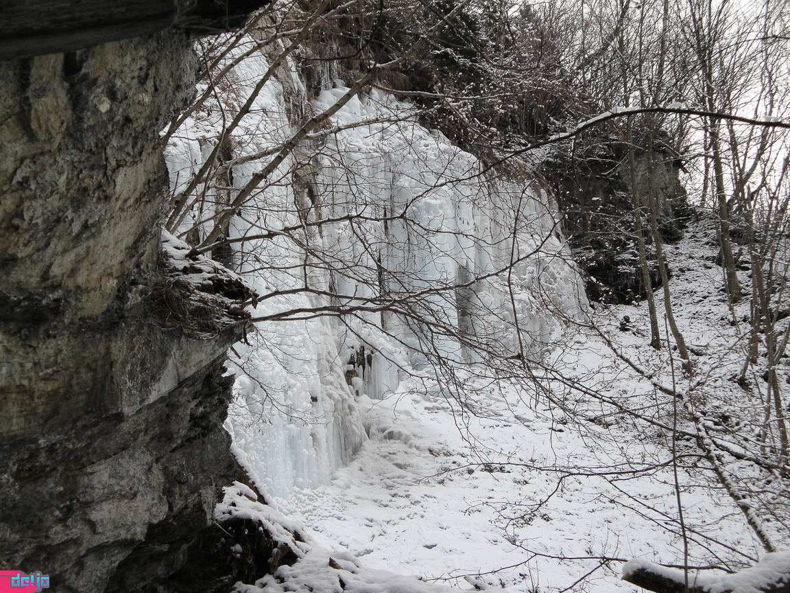 20. Januar 2011