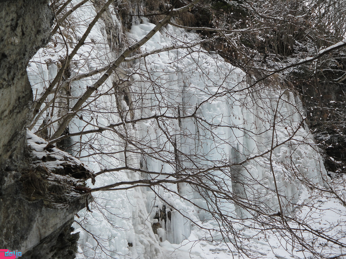 20. Januar 2011
