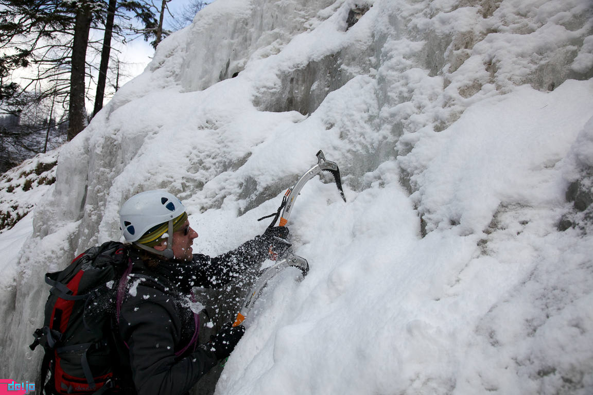 21. Januar 2011