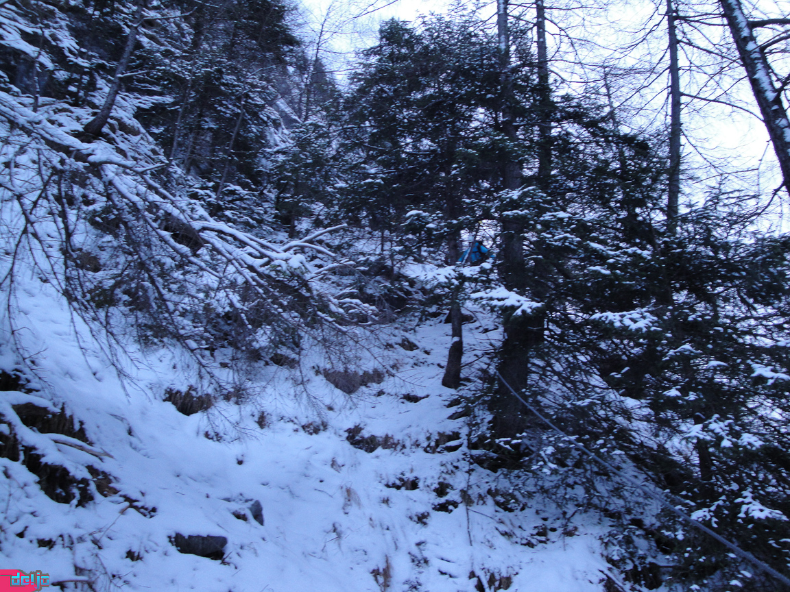 21. Januar 2011