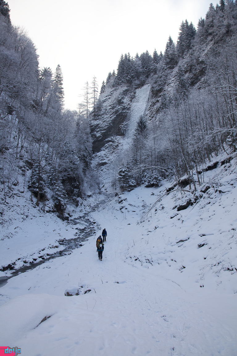 22. Januar 2011