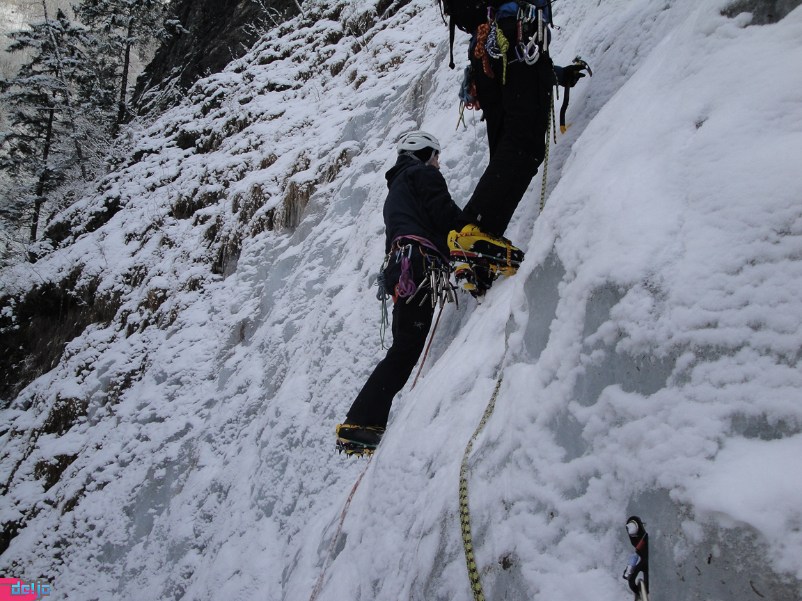 22. Januar 2011