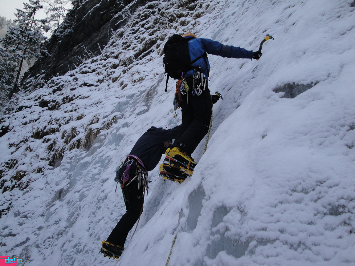22. Januar 2011