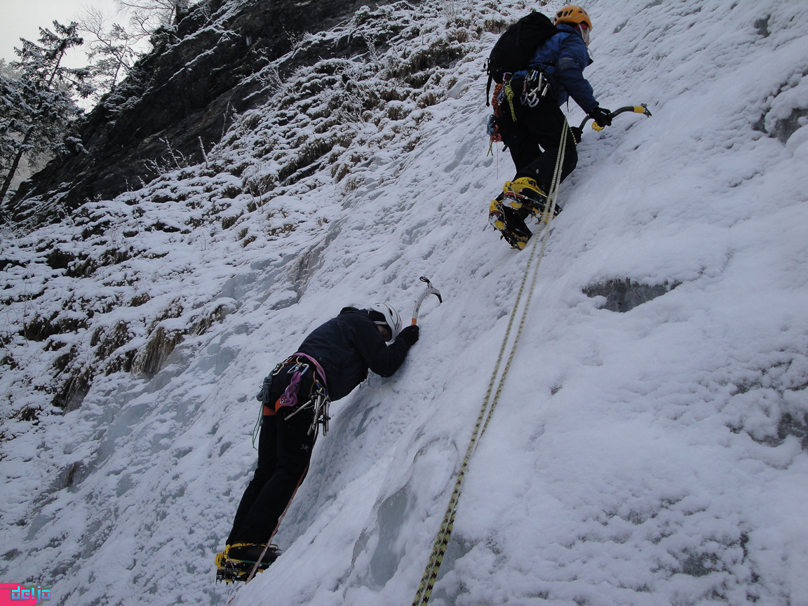 22. Januar 2011