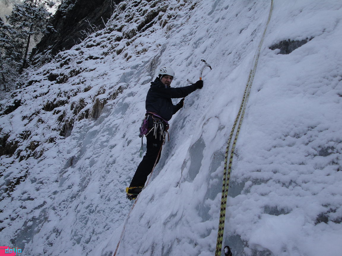 22. Januar 2011
