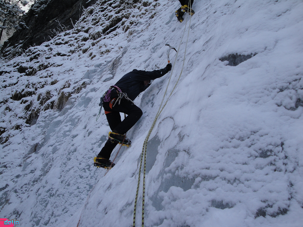 22. Januar 2011