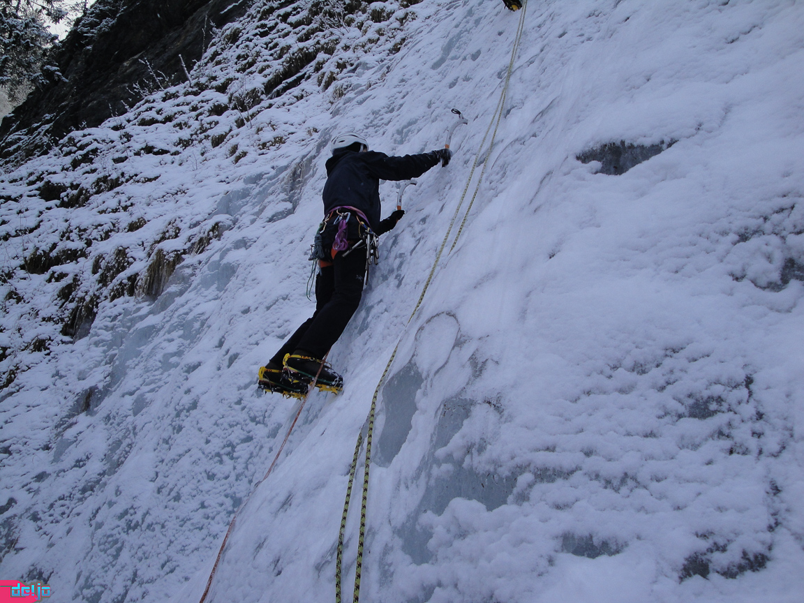 22. Januar 2011