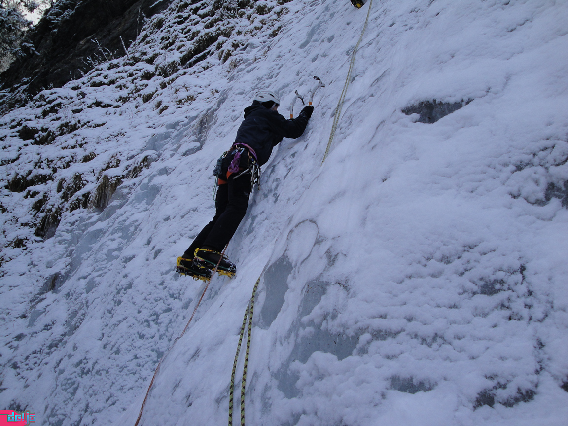 22. Januar 2011