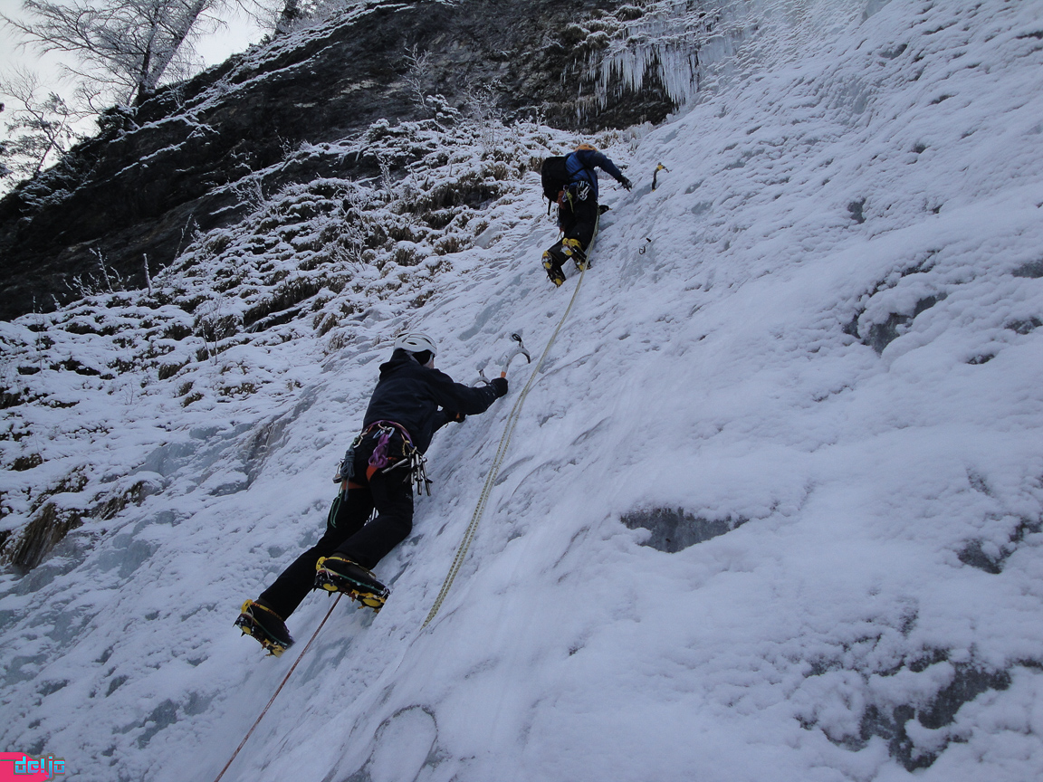 22. Januar 2011