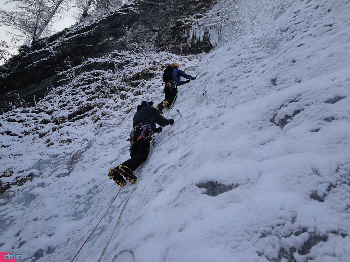 22. Januar 2011