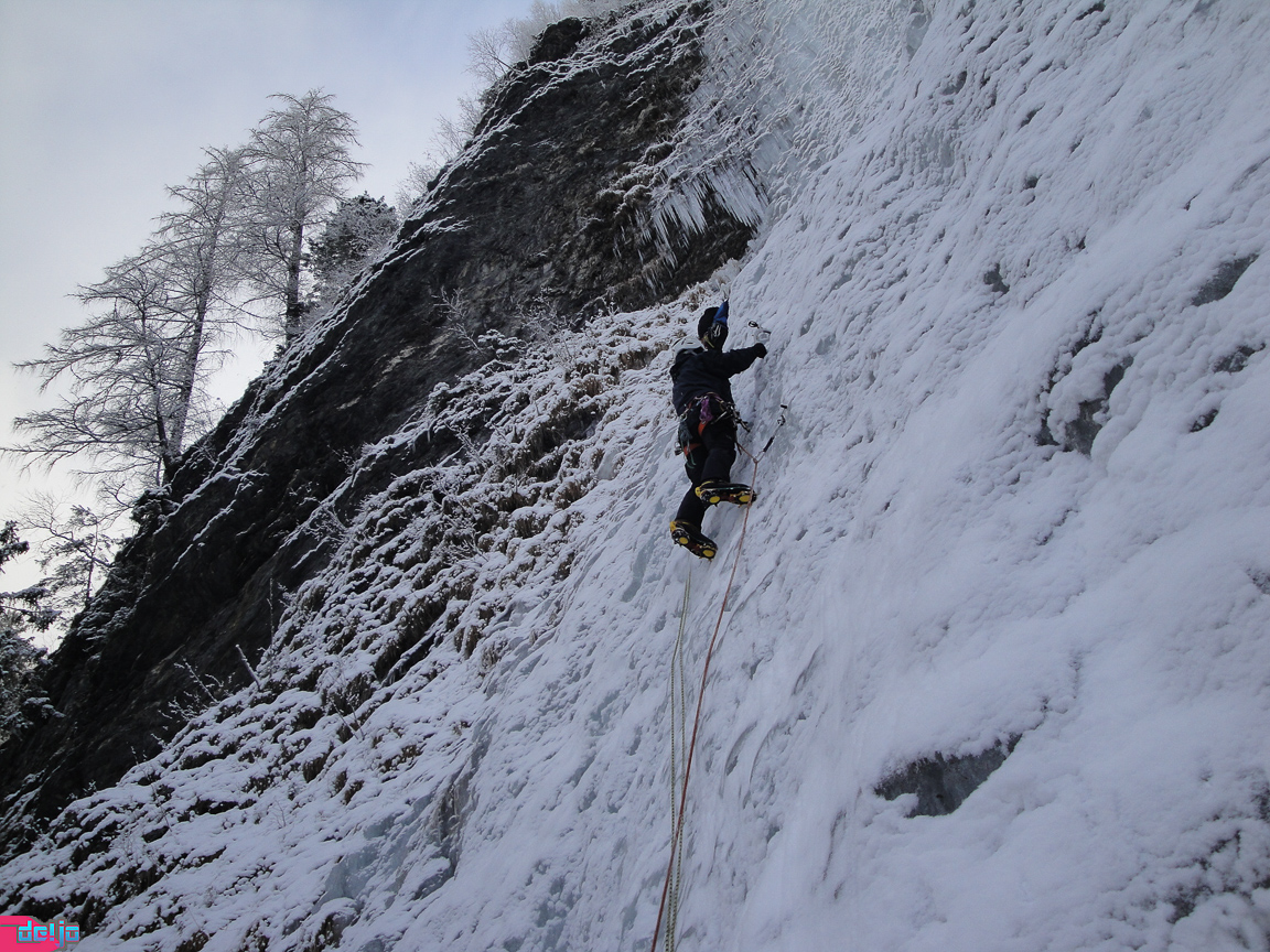 22. Januar 2011