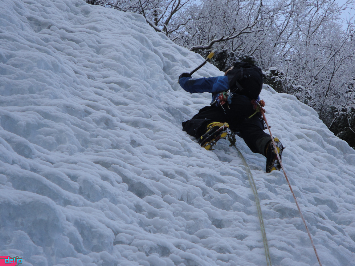 22. Januar 2011