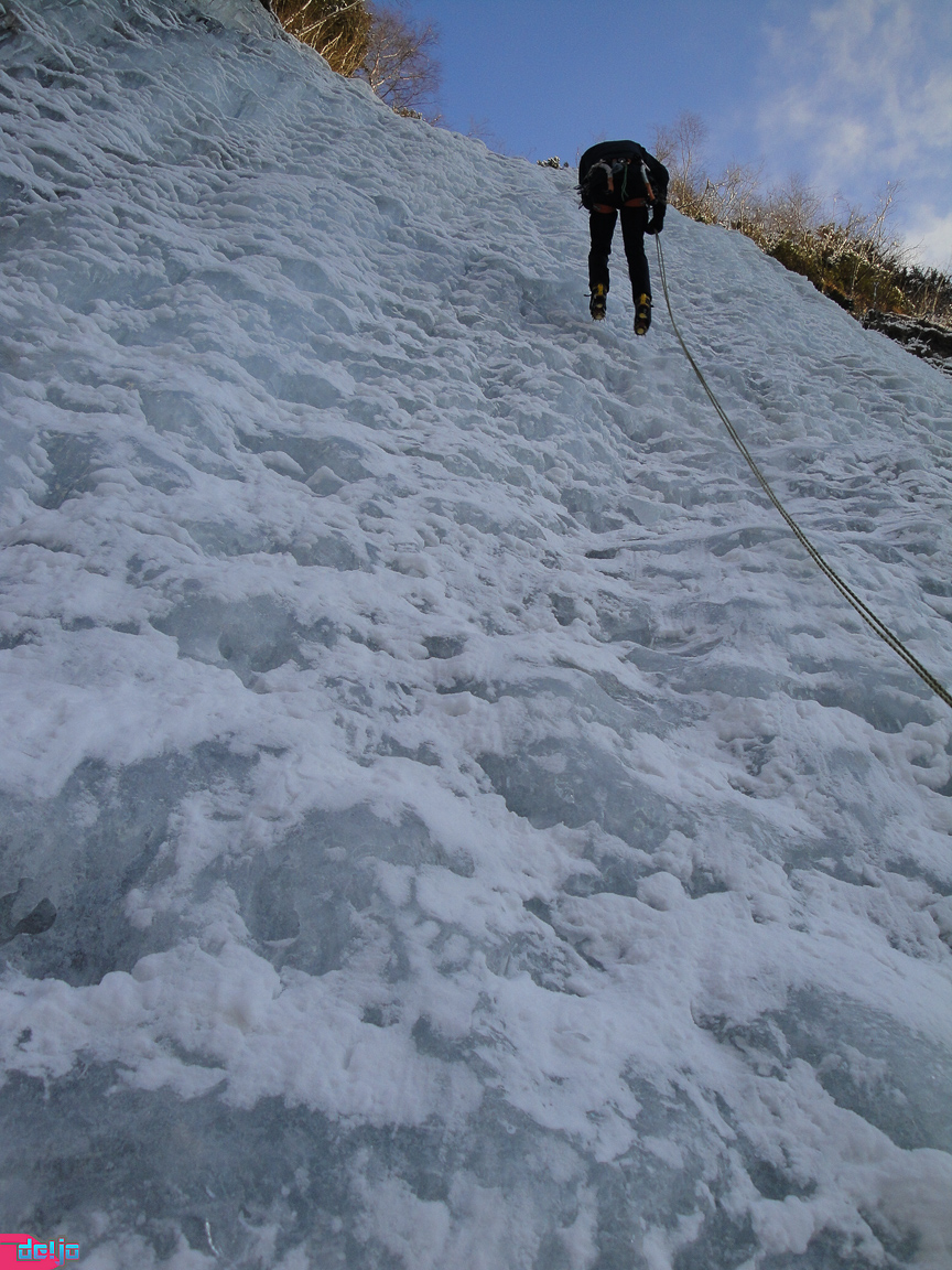 22. Januar 2011