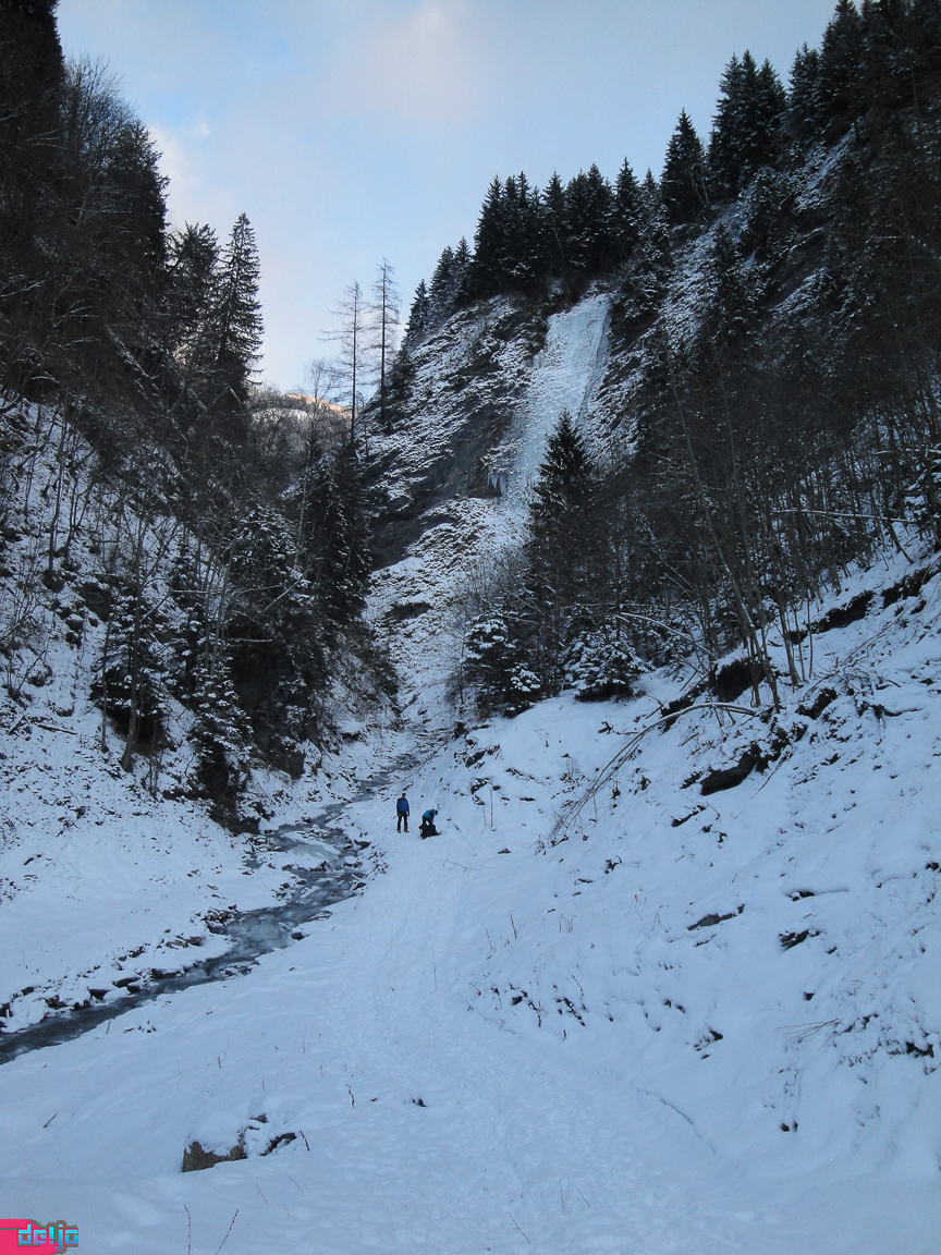 22. Januar 2011