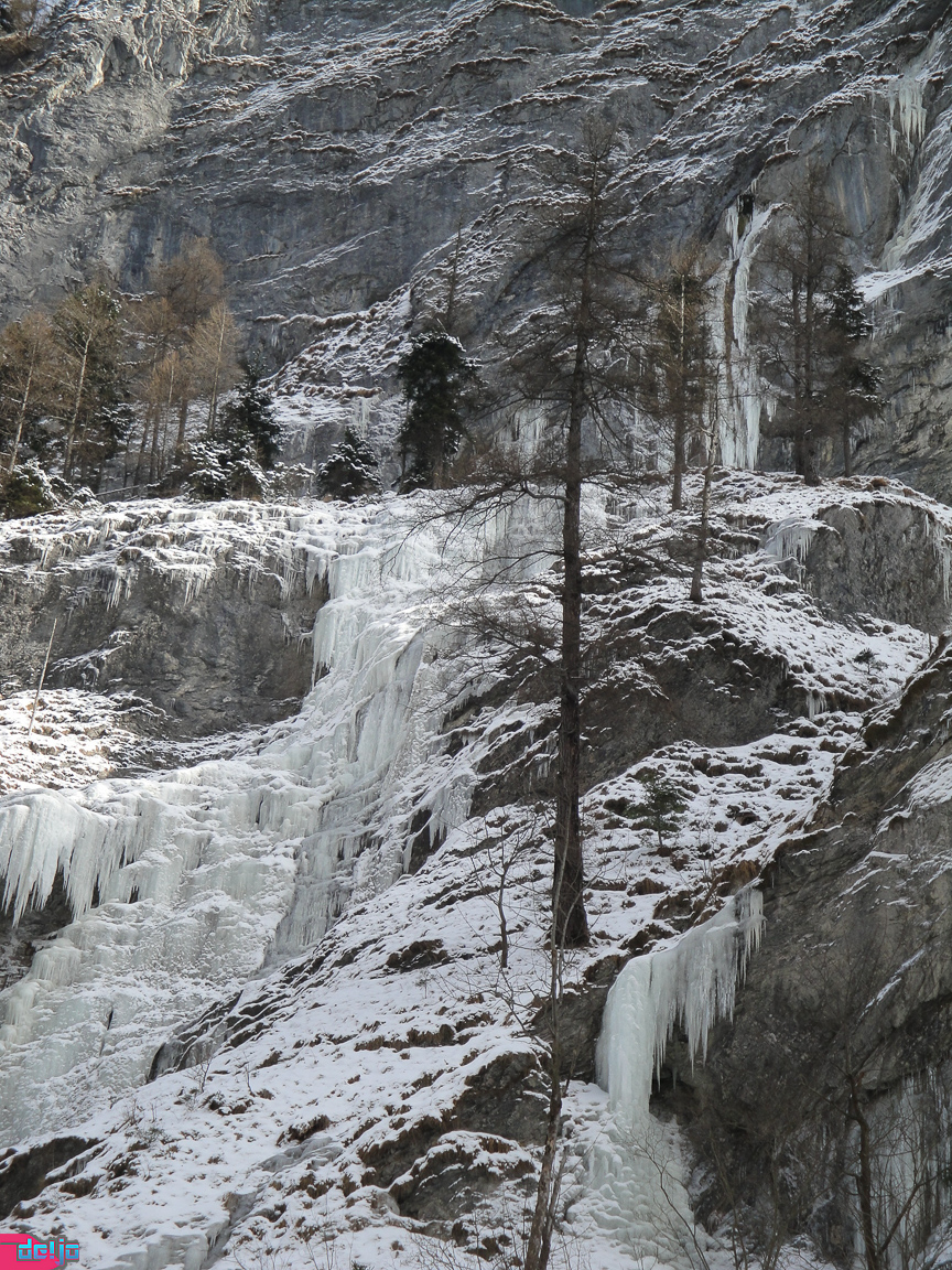 23. Januar 2011