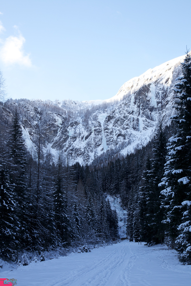 23. Januar 2011