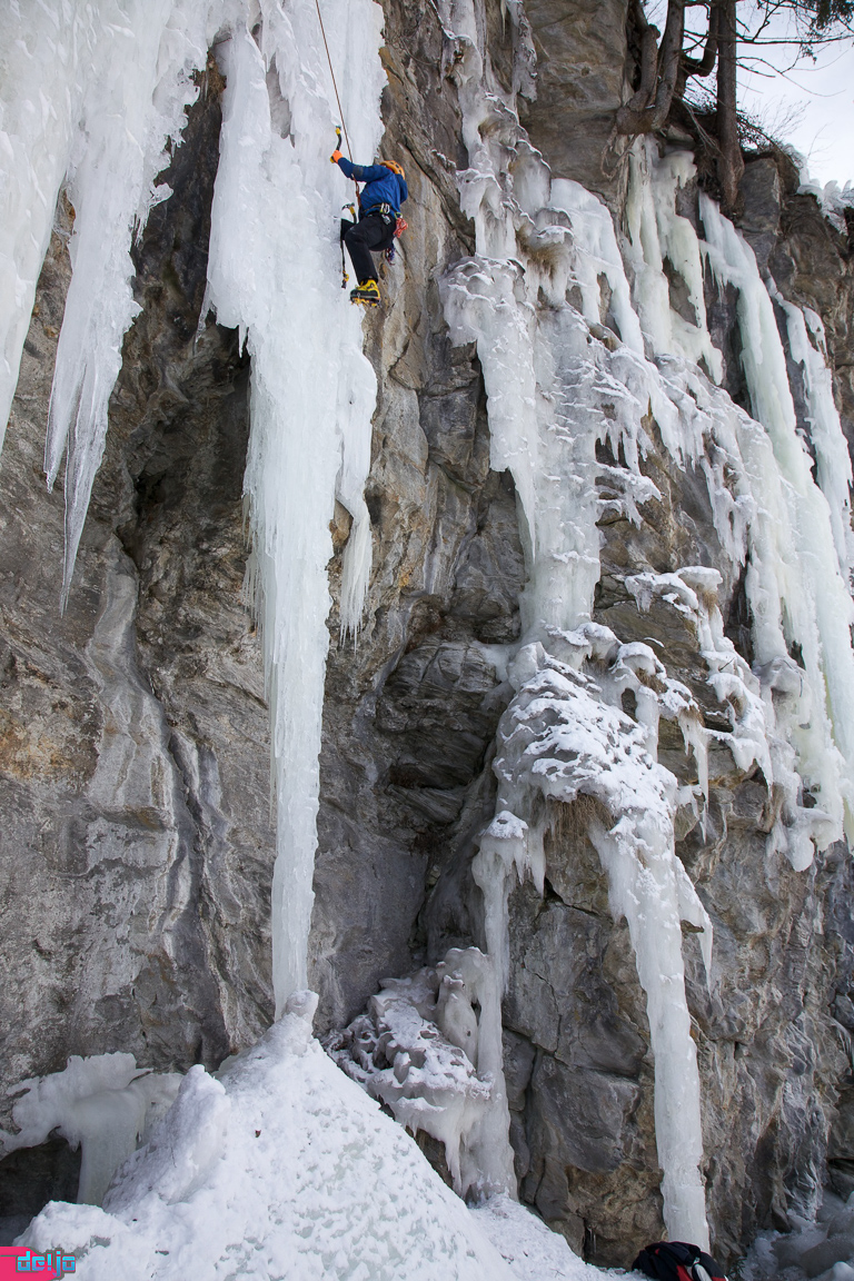 23. Januar 2011