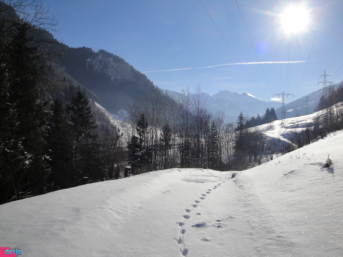 23. Januar 2011