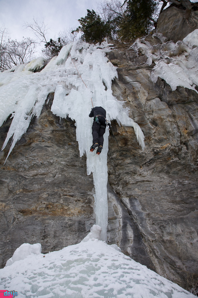 23. Januar 2011