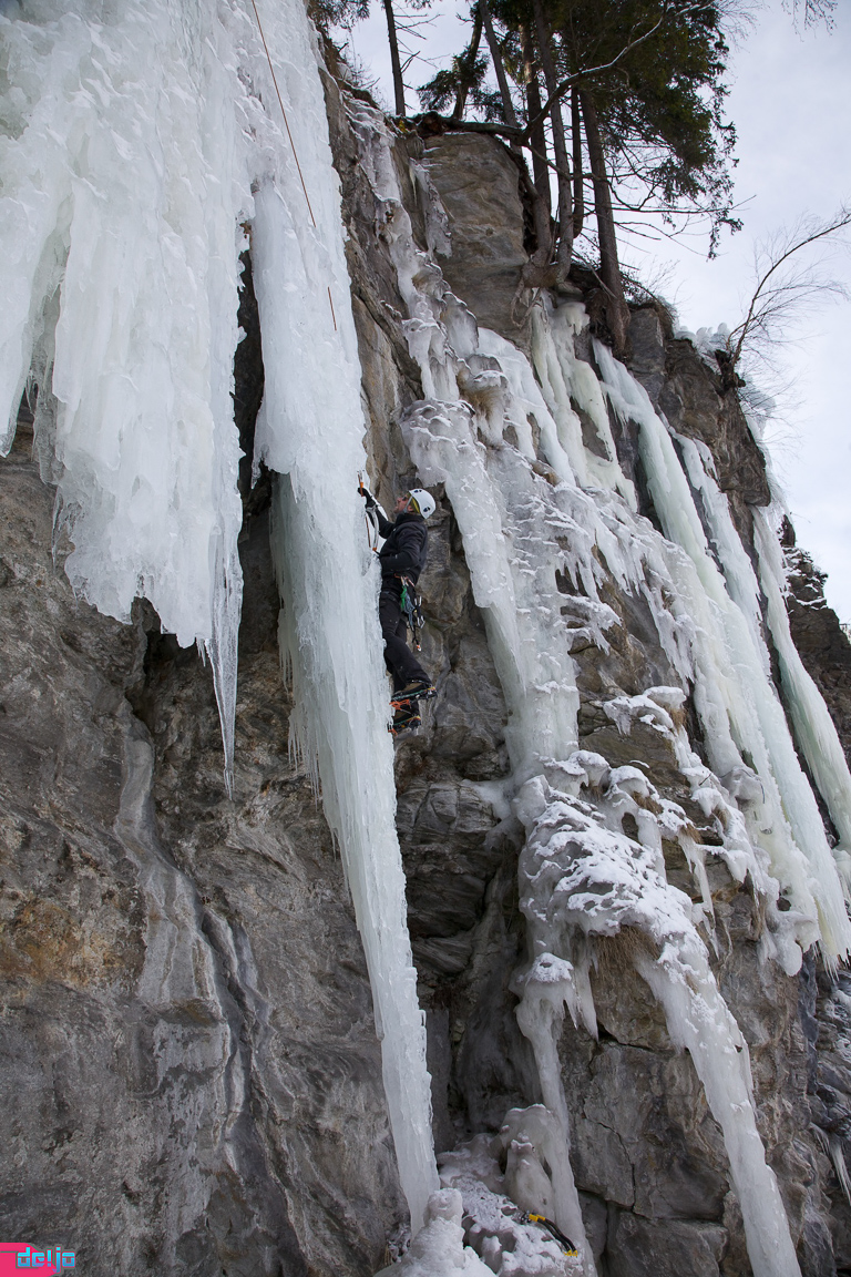 23. Januar 2011
