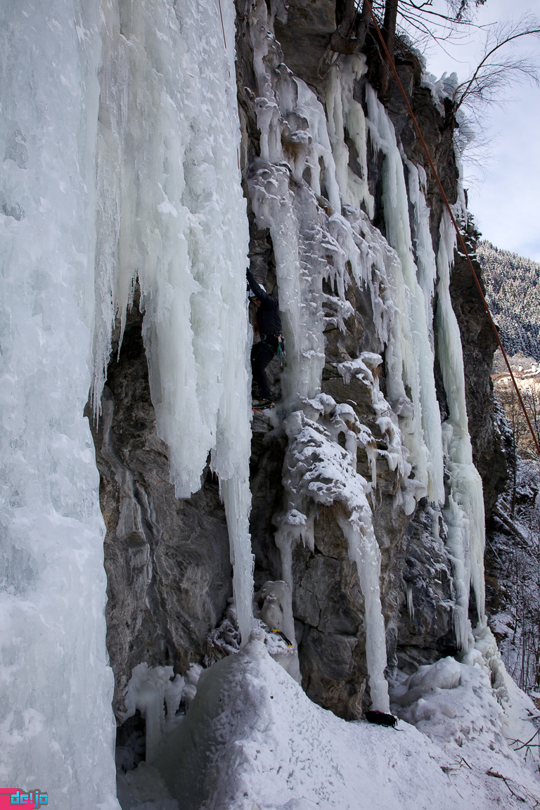 23. Januar 2011