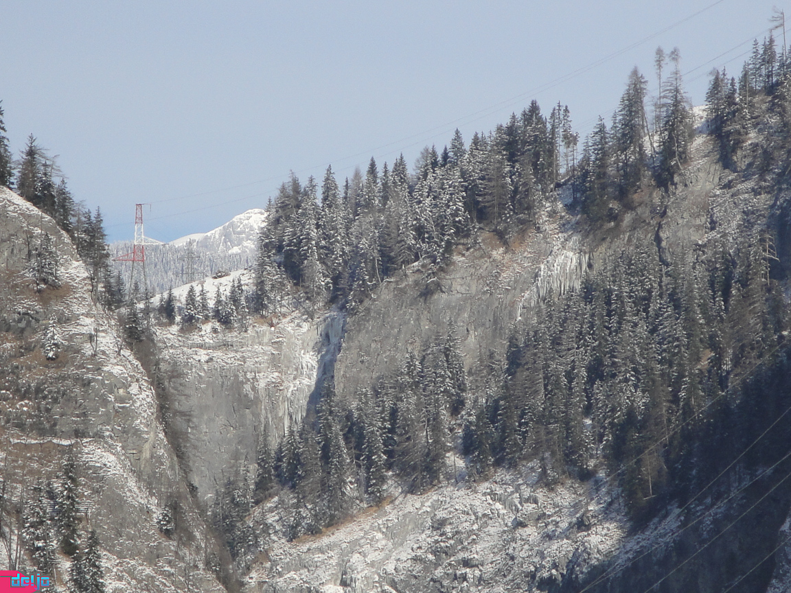 23. Januar 2011