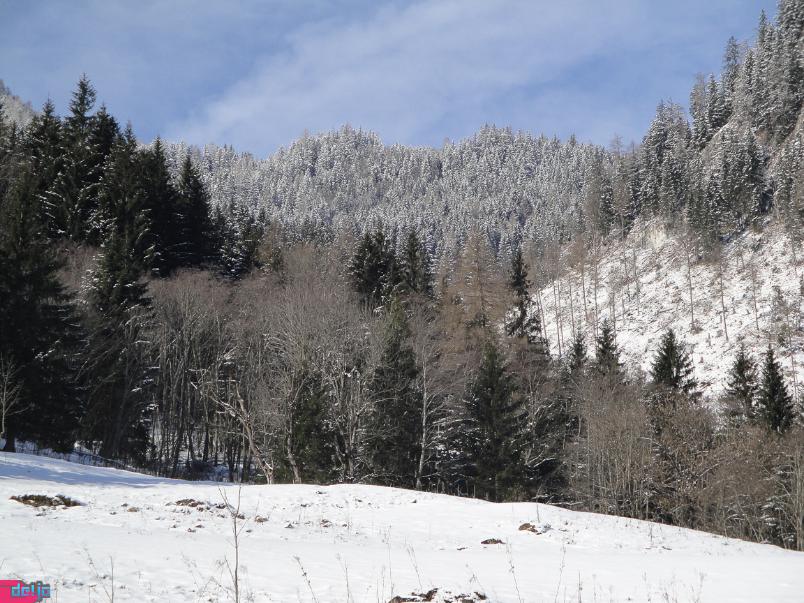 23. Januar 2011