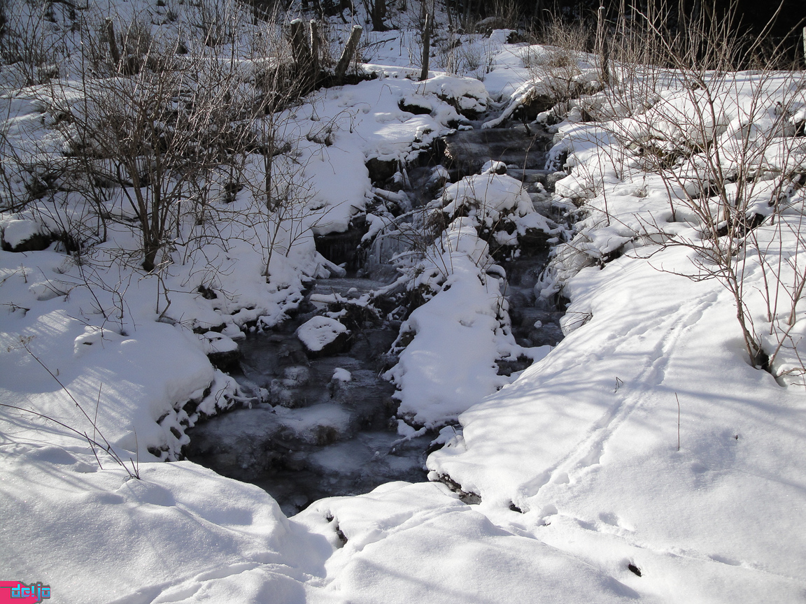 23. Januar 2011