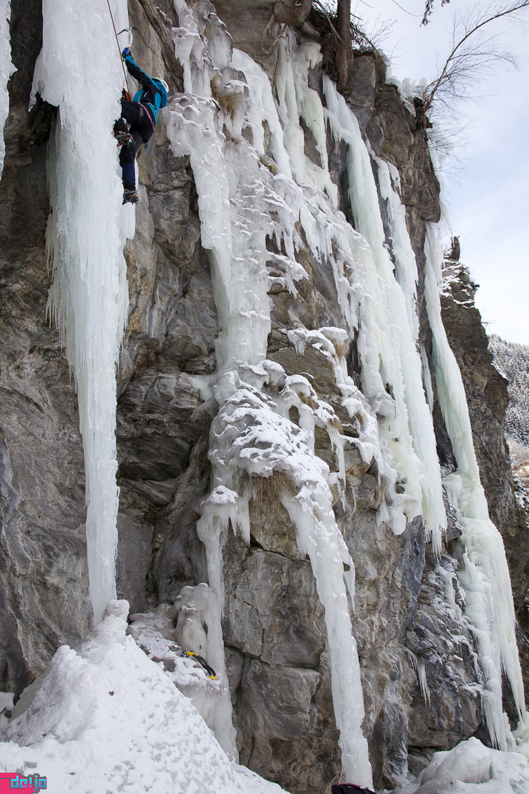 23. Januar 2011