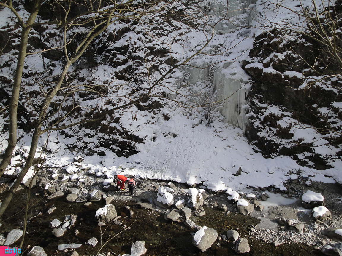 23. Januar 2011