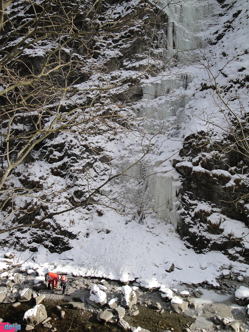 23. Januar 2011