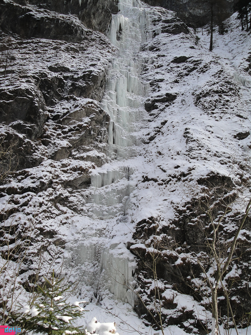 23. Januar 2011