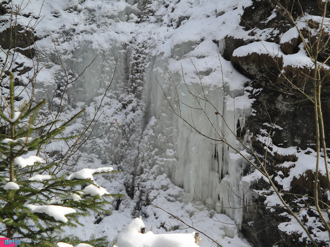 23. Januar 2011