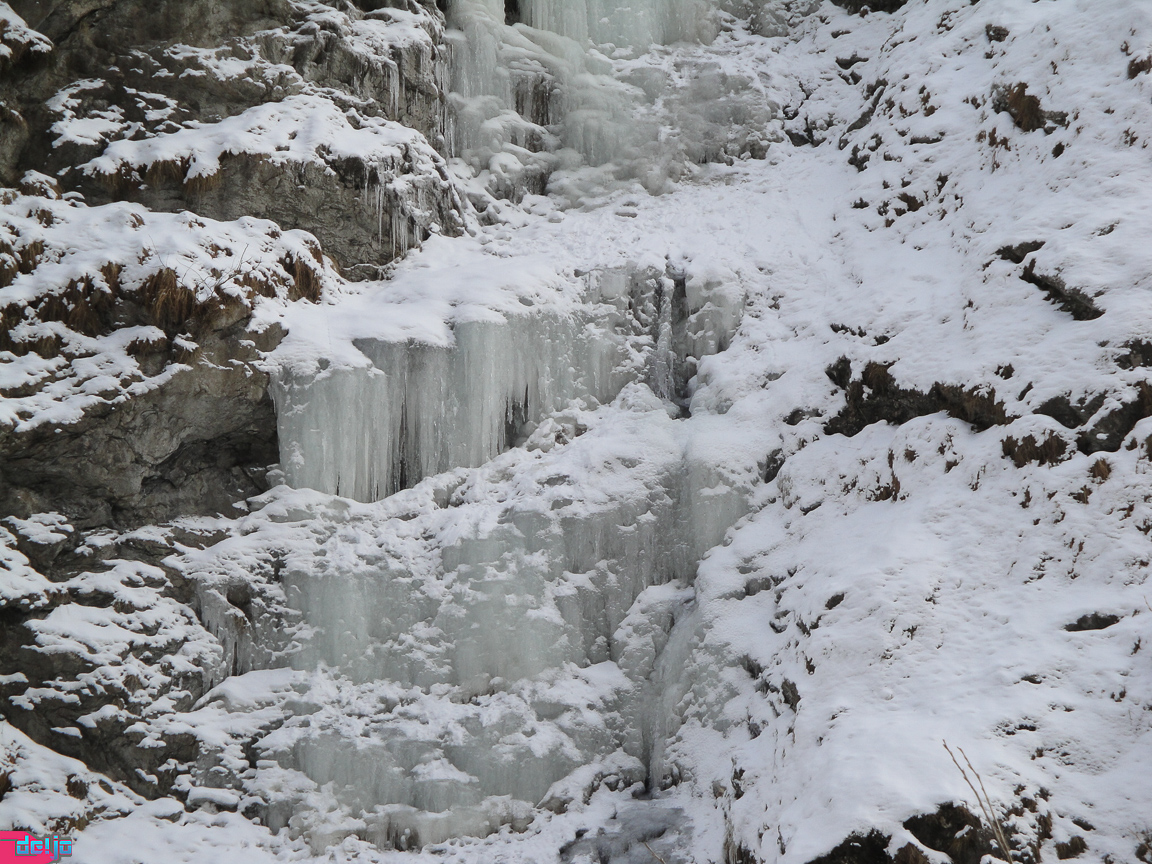 23. Januar 2011