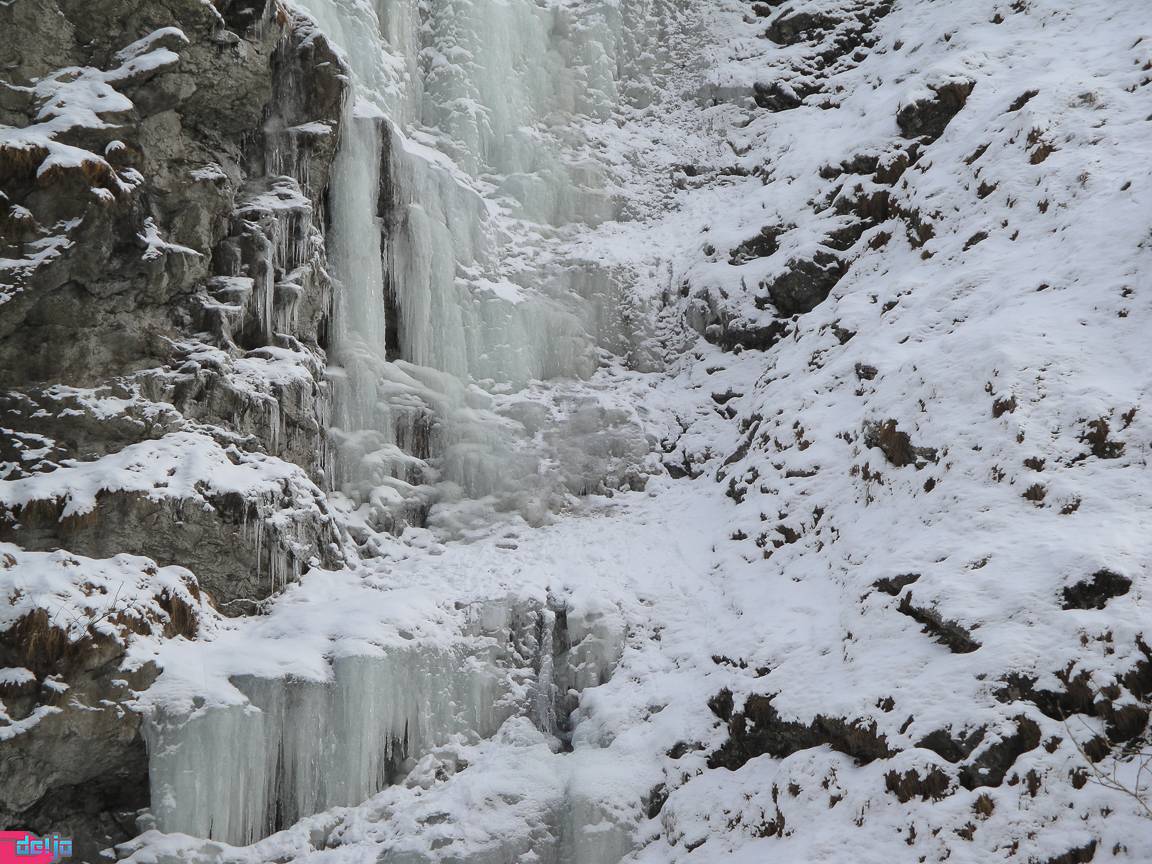 23. Januar 2011